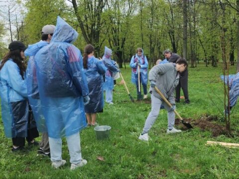 Жители Люберец навели порядок на улицах и высадили более 115 деревьев Новости Люберец 