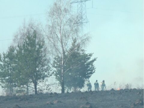 Огонь под запретом: в Люберцах введен особый противопожарный решим Новости Люберец 