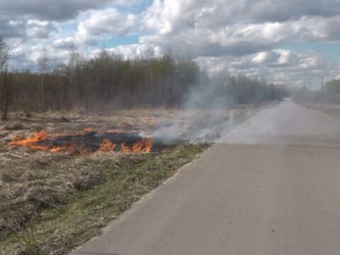 Рукотворное бедствие: сотрудники МЧС Люберц напоминают об опасности пала травы Новости Люберец 
